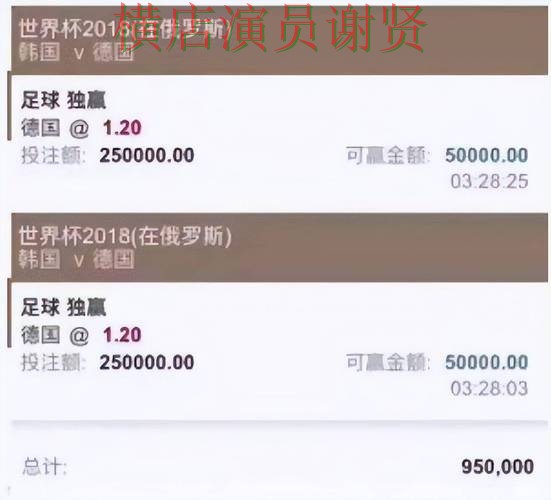 2026世界杯背景下的世界杯买球平台深度评测与数据分析